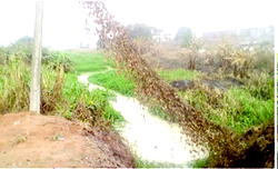 Danger looms in Imo over polluted Nworie River