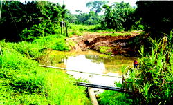 PDP charges Amaechi to fulfill promise on oil wells