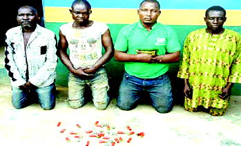 Four suspected land-grabbers arrested for alleged murder in Ogun