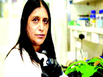 Researchers develop special clay to protect crops from pests and diseases
