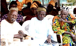 NAICOM, PenCom give life companies approval to choose PFCs