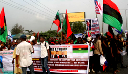 IPOB Trump solidarity rally: IPOB condenms killing of 11 members