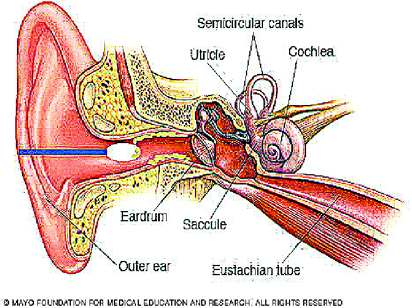 The ear, the cotton bud and the seven signs of trouble - Vanguard News