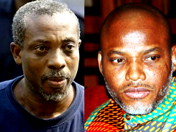 Anambra Guber: BIM disagrees with IPOB; insists election must hold