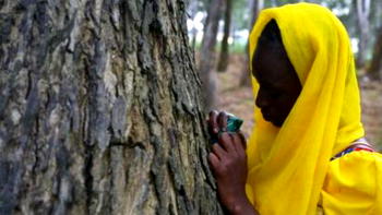 Chibok Girls’ film “Waiting for Hassana” premieres in U.S.
