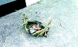 Lunatics eat food, drink can, bottled drinks served to the gods in Calabar