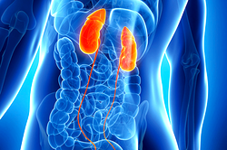 FMC Umuahia performs kidney transplants