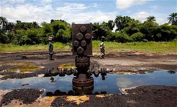 ExxonMobil, Taleveras, Ophir win Equatorial Guinea oil blocks
