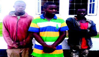 Navy smashes transborder drugs syndicate, arrests three suspects