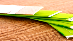 Chewing Gum wrong or right?