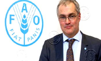 FAO planting seeds of hope to avert famine in Northeastern Nigeria