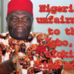 Nigeria treating Igbo as conquered minority — Nwodo