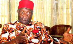 Northern group’s threat over RUGA: Defend yourselves, Nwodo urges Ndigbo