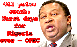 Oil price crash: Worst days for Nigeria over – OPEC