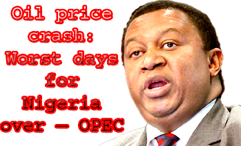 Oil price crash: Worst days for Nigeria over – OPEC