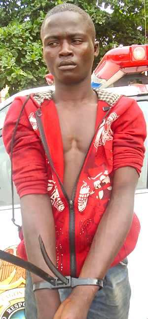 18-yr-old jailbird says he has stolen countless number of phones