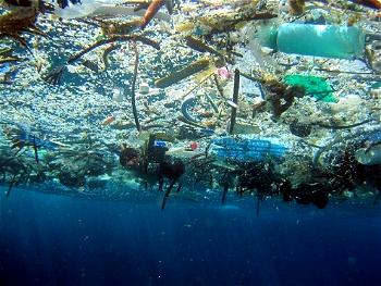 Environmental advocates call for total ban of plastics