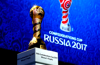 FIFA backs troubled Saint Petersburg pitch
