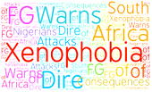 Xenophobia: Early Warning Unit yet to take off —Envoy