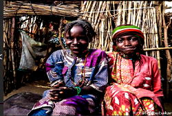 Bruised but …Fati’s peep into visual refreshing perspectives of Borno