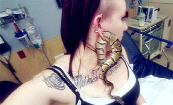 Girl gets python stuck in her earlobe