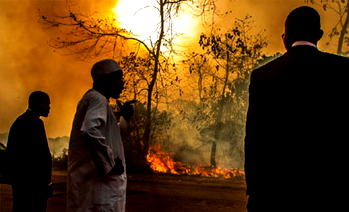 Family of 3 die in fire outbreak in Adamawa