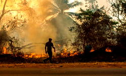 Harmattan: Kuje fire department warns residents against bush burning