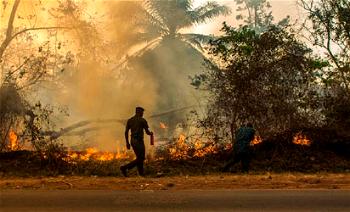 Harmattan: Kuje fire department warns residents against bush burning