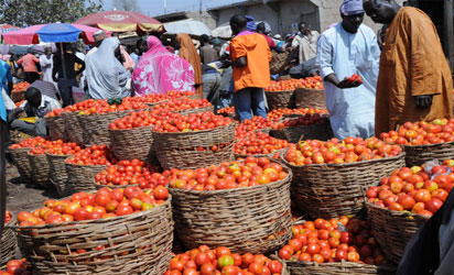 Mile 12 Market