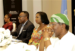Africans in Diaspora can change the ‘3Ds’ narrative says Abike Dabiri