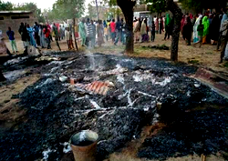 Boko Haram raids Borno town, loots food supplies