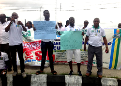 Human rights organisation flags off awareness campaign in Delta