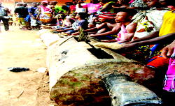 Ndiche Umunakara:  The music and  dance of warriors