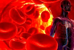 How To Lower Your Blood Pressure At Home In 4 Weeks Without A Doctor