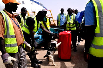 Photos: Police sniffer dog checking  Passengers’ luggage at Kaduna Airport