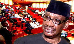 On parliamentarism and Sagay’s sophistry
