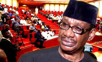 Call Sagay to order, stop him from making hate speeches, Senate tells Buhari