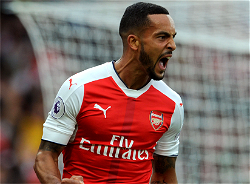 Arsenal must stop ‘fighting each other’ – Walcott