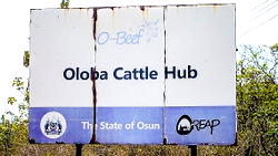 Osun set to dominate beef market in the south west
