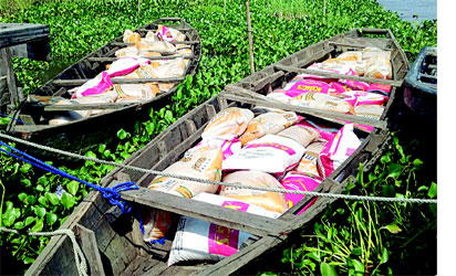 To evade arrest smugglers abandon canoe-load of rice, jump into river