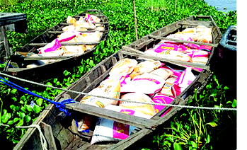 To evade arrest smugglers abandon canoe-load of rice, jump into river