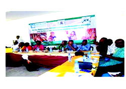 CSOs, Journalists, health experts x-ray decay in primary health provision