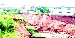 Igbo Improvement Union sensitises Ndigbo on dangers of erosion degradation