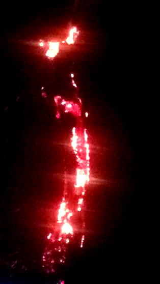 Mysterious fire on 250-year-old Badagry tree defies firefighters