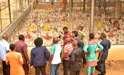 Multi-dimensional economic effect of Akwa Ibom prime hatchery project