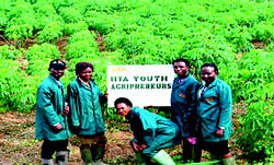 Food Security: African Lead II, USAID, train women