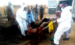 12 killed, 40 wounded in Cameroon suicide bomb attack