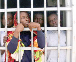 ‘Here, they treat us like chickens!’