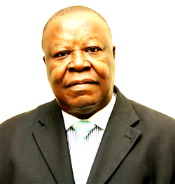 Domestic retail investors’ return  driven by upbeat in economy  — CEO, Solid Rock Securities