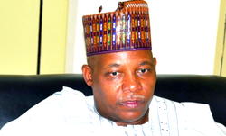 How Buhari aide, Gov. Shettima goofed over Jonathan book